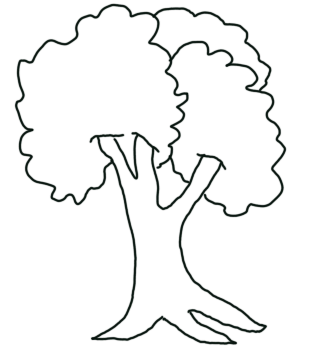 Baum