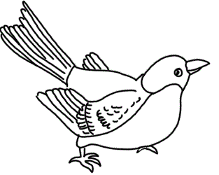 Vogel